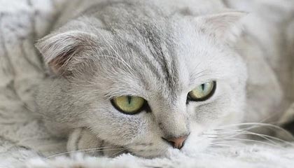 我区“职工法律维权服务志愿服务律师事务所”授牌