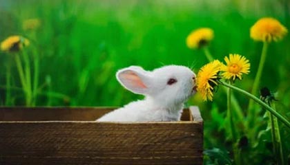 忆红色历史 传红色基因|万州区律师行业开展红色教育活动